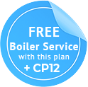 Free Boiler Service